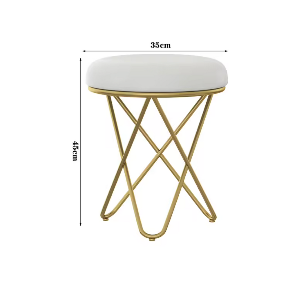 Luxury Beauty Chair