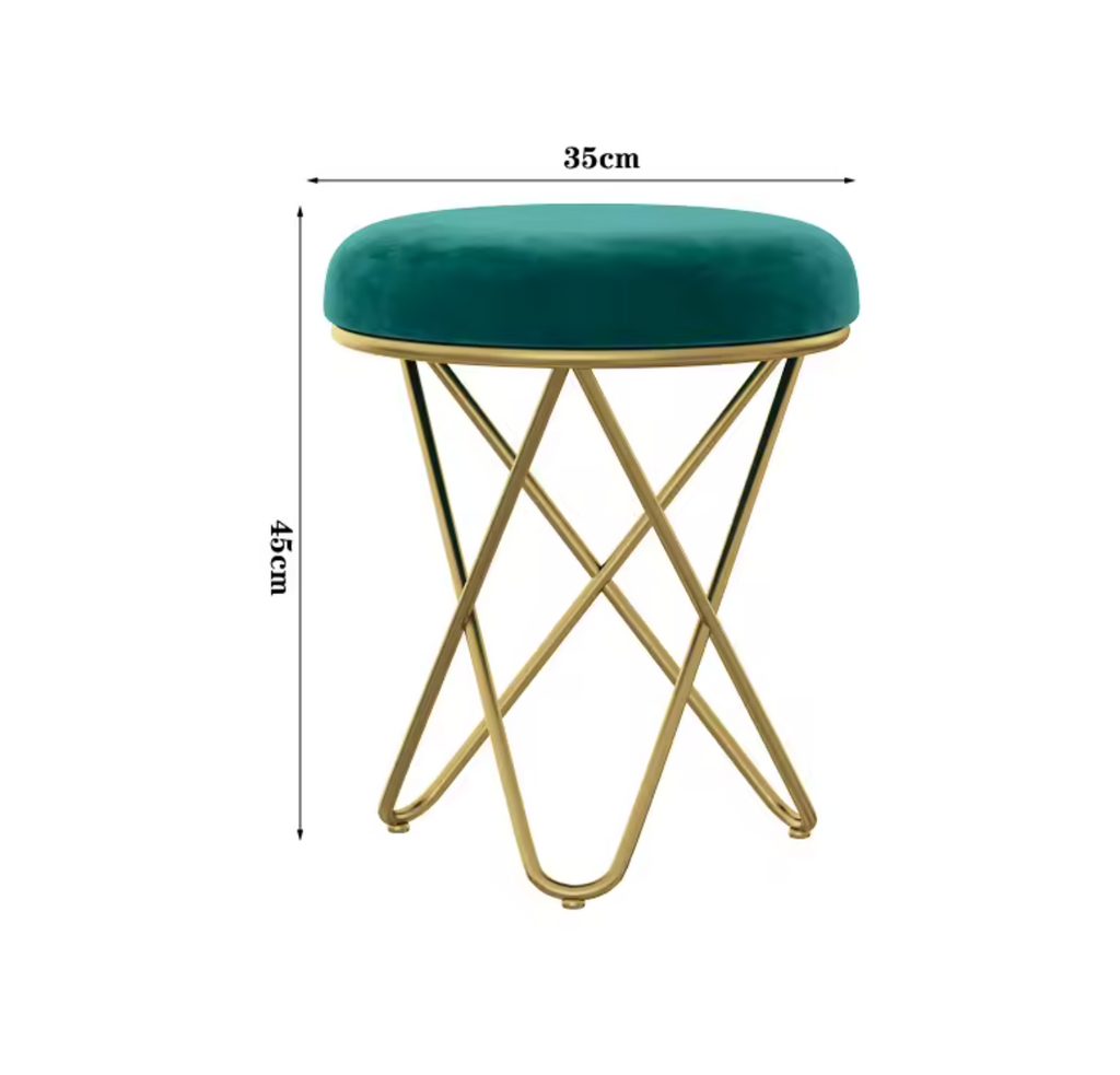Luxury Beauty Chair