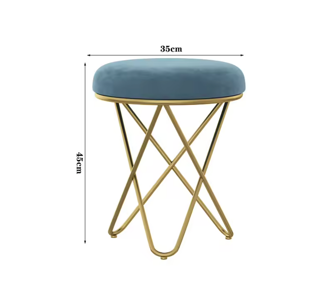 Luxury Beauty Chair