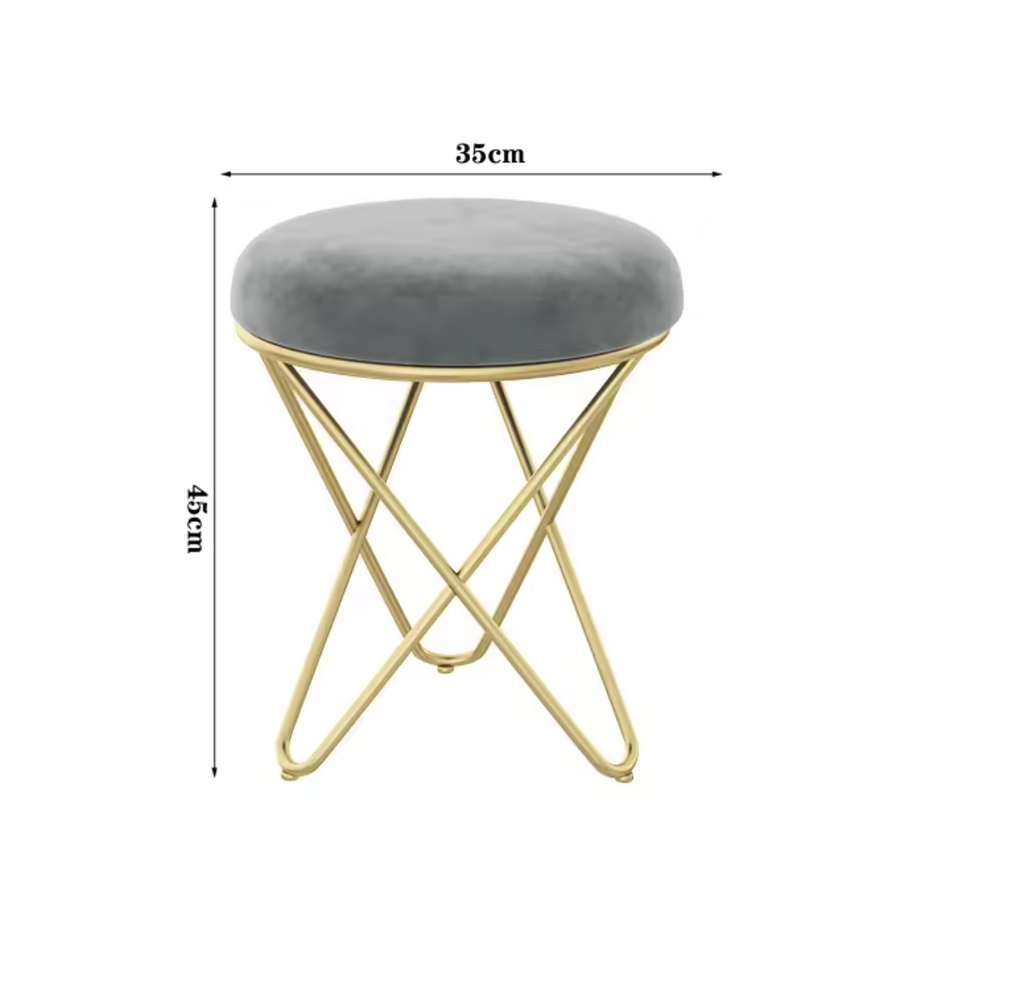 Luxury Beauty Chair